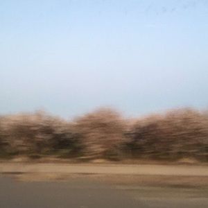 Meet your Posher, Isaiah